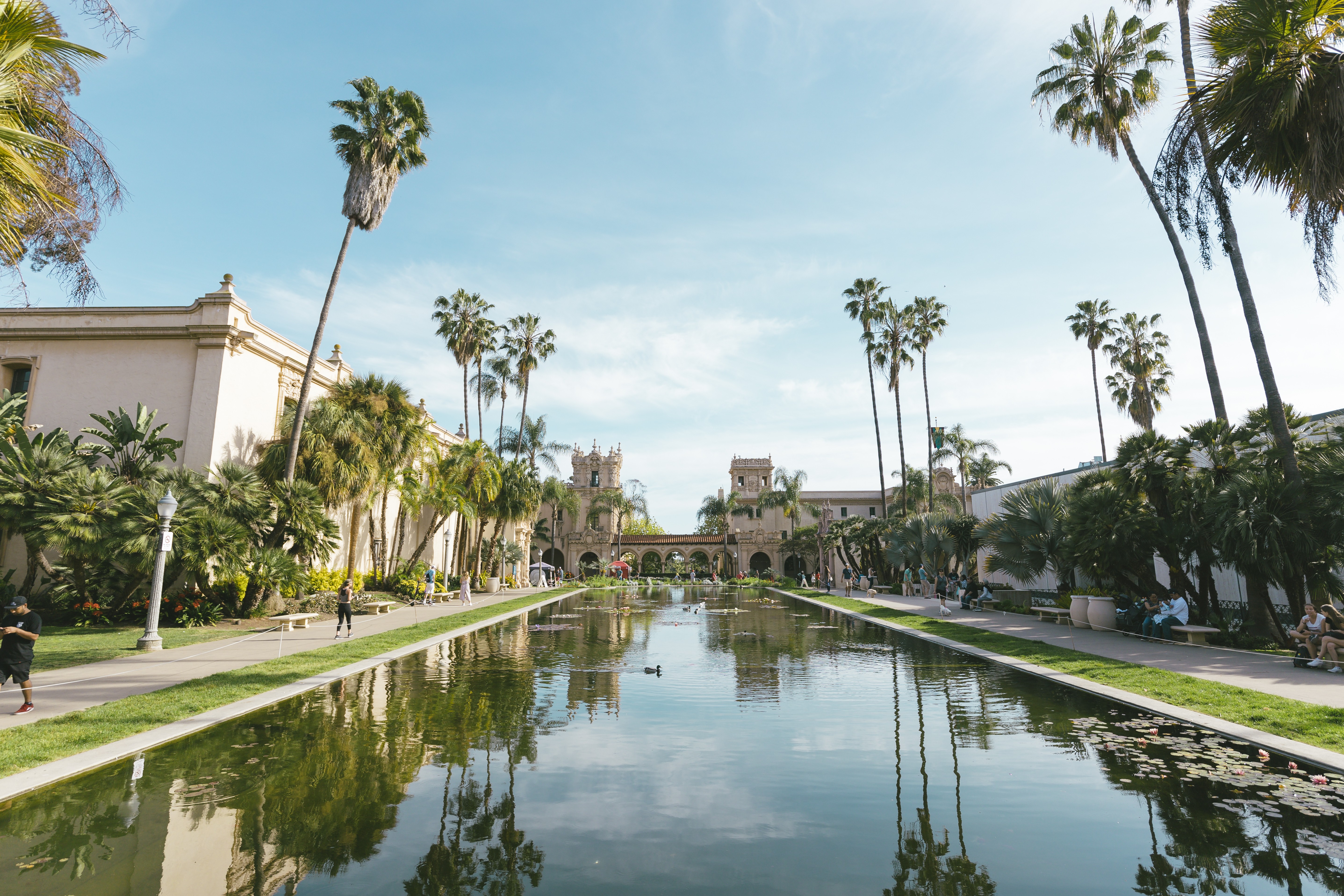 Balboa Park Lily Pond